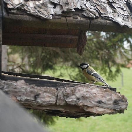 Tilia Cottage Banjska Stena Мітровац Екстер'єр фото