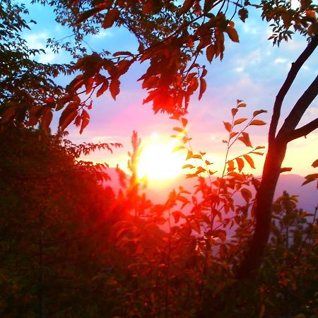 Tilia Cottage Banjska Stena Мітровац Екстер'єр фото