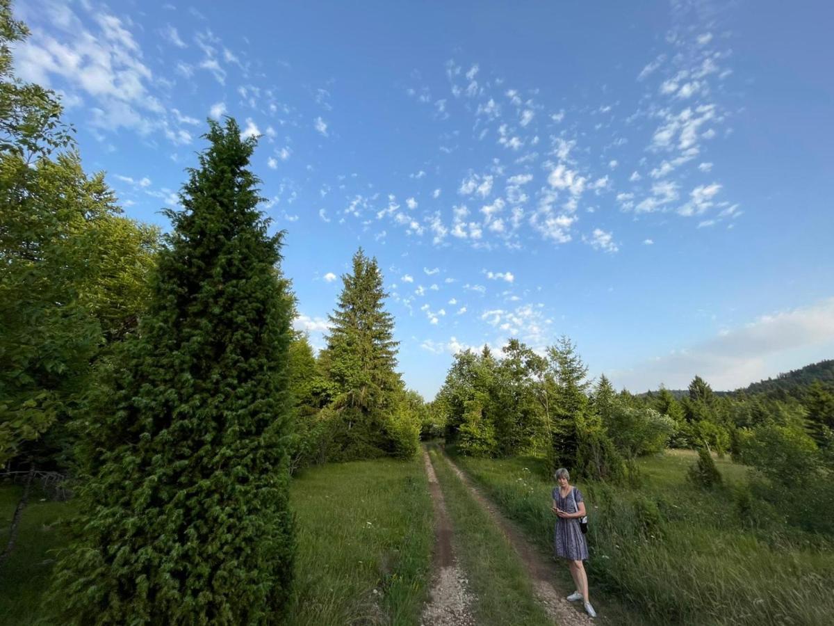 Tilia Cottage Banjska Stena Мітровац Екстер'єр фото